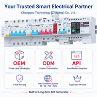 Interrupteur intelligent Wi-Fi Tuya sur rail DIN avec disjoncteur de mesure MCB 90-240V 63A, modes de temporisation pour maison/bureau/bâtiment CB/CE Chayo