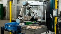 Brazo Robótico Colaborativo de 6 Ejes, Carga Útil de 12.5 kg, Cobot Universal Robot UR12E, Nuevo, Automatización, Paletización, Manipulación, Soldadura, IP54