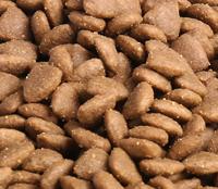 Aliments secs pour animaux de compagnie, riches en protéines, cuits au four, pour la santé de la peau et du pelage des poulets, 5 kg, vente en gros, personnalisables, OEM, en promotion, du fabricant