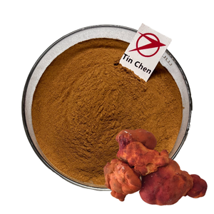 Оптовая продажа, натуральный органический 100% экстракт грибов антродии камфоры/порошок грибов антродии камфоры - Product Image 1