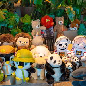 OEM ODM personalizado dibujado de alta calidad de peluche suave animales de peluche juguetes hechos de tela de felpa y algodón estilo lindo - Product Image 4