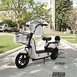 2025年人気のお手頃価格の新型大人用電動自転車 350W 速度35km/h 48V 二人乗り電動自転車 電子機能搭載 - Product Image 1