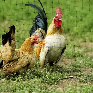 Konijn En Herten Controle Hekwerk Anti Mol Netto Anti Vogel Netto