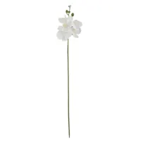 Fiore artificiale Phalaenopsis artificiale singolo ramo cinque teste fiore farfalla orchidea matrimonio fiore decorativo artificiale