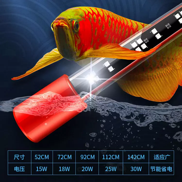 キ*ン様 Arowana Magical Light Series Koi light 5D Arowana special color magic light 240 degrees
