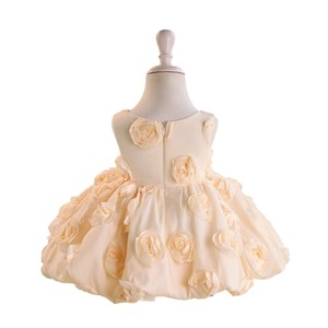 Abito da Principessa 3D con Rose per Bambina, Vestito Gonfio per Primo Compleanno, Abito Formale per Occasioni Speciali - Product Image 5