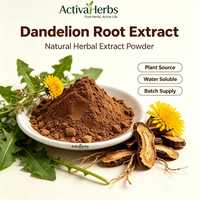 Extrait naturel de pissenlit 5% Flavones, poudre d'extrait de racine de Taraxacum Officinale pour complément alimentaire en emballage tambour