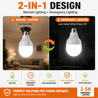 Ampoule d'urgence rechargeable à induction, autonomie 2-5h, éclairage en cas de panne de courant, E27, plastique, intensité réglable, garantie 2 ans, vente en gros OEM