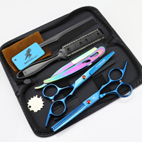 14 couleurs, 6,0 pouces, LCH 01, nouveau design tendance, brosse à cheveux, peignes, ciseaux à cheveux, ensemble HSS-024