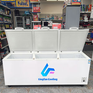 Congélateur coffre à grande capacité, haute qualité, à température unique, ouverture par le haut, congélateur profond, réfrigérateur - Product Image 1