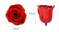 UKIQUEEN Vente en gros de têtes de roses rouges préservées, 8 pièces, roses naturelles éternelles pour la création de bouquets, décoration de mariage