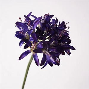 Flor púrpura Artificial Vintage europea de alta calidad Agapanthus <span class=keywords><strong>Africanus</strong></span> lirios flores de lirio africano de seda para decoración de boda - Product Image 4