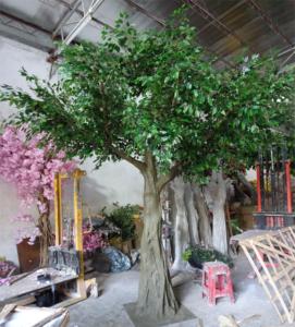 Nhà Máy Tùy Chỉnh Giá Rẻ Hot Bán Lớn Bóng Râm Lớn Ngoài Trời Cây Nhân Tạo Cuộc Sống Kích Thước Nhân Tạo Cây Sồi Ficus Cây Cho Trang Trí - Product Image 5