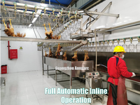 Plumeuse automatique pour abattoir de volailles, 3000 BPH, en acier inoxydable SUS304, pour l'épluchage des poulets en usine de transformation