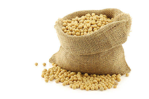 Soja de alta germinación, soja natural para germinar, soja pura para germinar, soja para germinar de Tanzania - Product Image 6