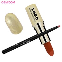 OCHAIN Kit Lèvres Brunes Populaires Brillant à Lèvres Vegan Longue Durée Lip Liner Matte Lipstick Kits Collection Private Label