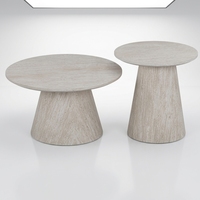 Table basse moderne et minimaliste pour salon, facile à nettoyer, durable, design en deux parties