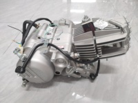 Moteur Moto Zongshen ZS190 Complet 2 Soupapes 4 Temps 190cc ZS1P62YML-2