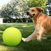 Jouet pour animaux de compagnie Logo écologique énorme gonflable grand 9.5 pouces géant grand chien balle de tennis pour chiens