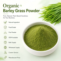 Poudre d'herbe d'orge pure naturelle OEM, riche en fibres alimentaires, vitamines, minéraux, chlorophylle, enzymes et antioxydants, boisson quotidienne
