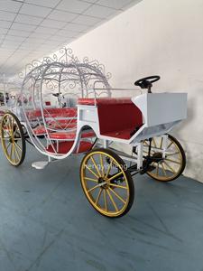 Carro de caballos de lujo Pretty Wedding Horse Buggy Transporte especial para Navidad por fabricante - Product Image 4
