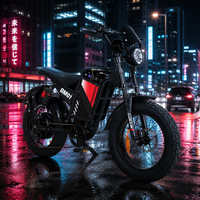 Vélo électrique à pneus larges de 20 pouces, moteur 60V 2000W, autonomie de 90-100 km, fabricant d'usine, Kayo Dirt Bike DM01 Dirt Bike E Bike