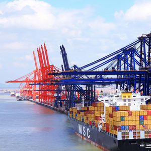 Envío FCL con despacho de aduanas Agente de carga de envío de China Tianjin <span class=keywords><strong>Xingang</strong></span> a Ecuador FOB CIF EXW DAP DDU - Product Image 6