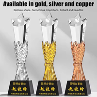 Offre Spéciale : Trophées en Cristal Personnalisés pour Cérémonies de Remise de Prix Sportifs et Jeux d'Entreprise – Ornement Poli en Forme d'Étoile Colorée