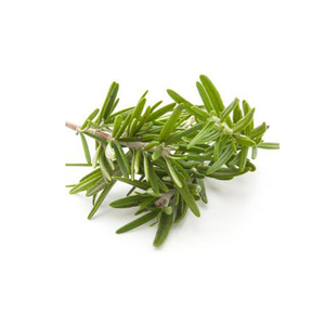 Food Grade Kruidensupplement Rozemarijn Blad Extract Rozemarijn Extract 25% Ursolinezuur Rozemarijn Poeder - Product Image 4