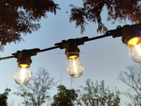 Guirlande lumineuse LED étanche pour extérieur, jardin, terrasse, bar, 10m 15m, ampoules E27 S14