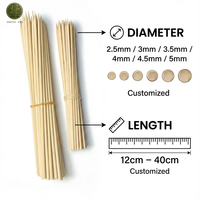 Brochettes en bambou pour camping en plein air, portables, légères, jetables, 10 pouces, pour barbecue, feu de camp, randonnée, pique-nique, lot de 200