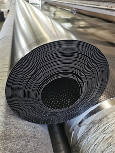 Géomembrane HDPE résistante aux UV et imperméable, doublure de bassin, épaisseur personnalisée pour l'exploitation minière et l'agriculture en Afrique - Product Image 6