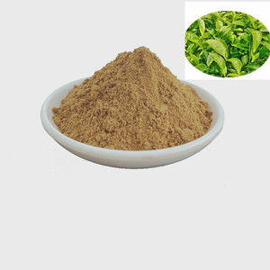 CAS 7295-85-4 estratto di tè verde alta concentrazione <span class=keywords><strong>EGCG</strong></span> 80% 90% estratto vegetale Premium - Product Image 1