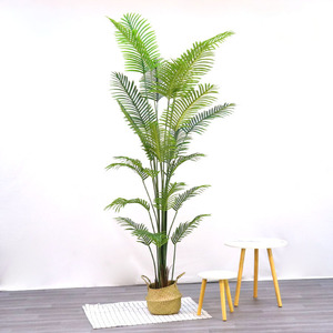 Golin Hot Bán Phượng cây cọ giả cây nhân tạo kentia carton nhựa lá thân thiện với môi trường 1.2-2.4m trong nhà/ngoài trời - Product Image 6