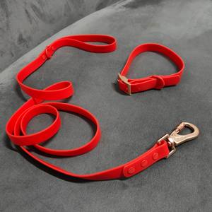 Conjunto de Correa y <span class=keywords><strong>Collar</strong></span> para Perro de Cinta Recubierta de PVC Impermeable, Sostenible, de Moda y Lujo con Logotipo Personalizado - Product Image 4