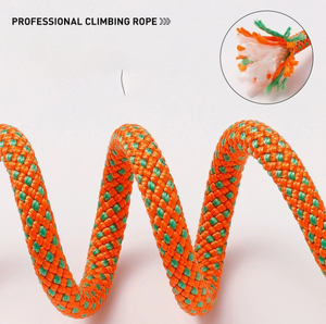 Raffy Pet Supplies Durable No-Pull Dog Training Slip Lead Heavy Duty Nylon Algodón Poliéster Custom Luxury Dog Training Leash - Product Image 2