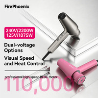 Sèche-cheveux professionnel FirePhoenix M2 double tension OEM 100V-240V, conception personnalisable, 110000 tr/min, pour salon de coiffure, directement de l'usine