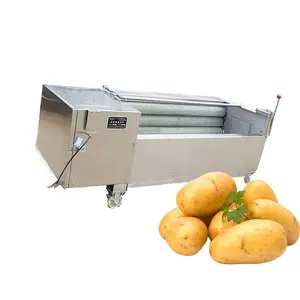 Ligong zencefil/Yam kök/tatlı patates yıkama ve soyma makinesi endüstriyel patates soyma makinesi