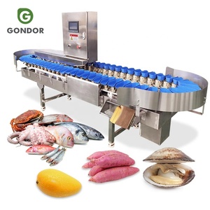 Sống tôm cá kích thước học sinh lớp phân loại SORTER máy và hệ thống - Product Image 1
