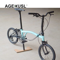 AGEKUSL Station de réparation Support de stationnement pour vélo sur pied pour Brompton Pikes Fnhon Dahon Support pliable pour vélo