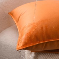 Coussin lombaire carré pour voiture en tissu technique PP coton, couleur orange émeu, style luxe léger, tailles personnalisables, style naturel frais, origine Chine