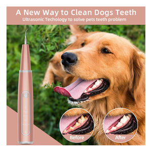 Professionele tandsteenverwijderaar, ultrasoon reinigingsapparaat voor huisdieren, ultrasoon reinigingsstaafje voor huisdieren - Product Image 3
