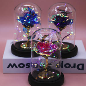 TC 24K oro rosa en cúpula de cristal para mujeres mamá Día de San Valentín Día de la Madre Regalos DIY adornos flores rosas artificiales - Product Image 3