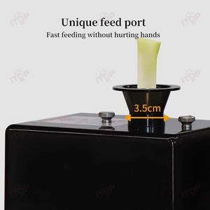 110v/220v 200w yıkanabilir japon sebze bahar soğan kesici makine sebze işleme <span class=keywords><strong>2.3</strong></span> Mm-1.8mm Scallion dilimleme - Product Image 6