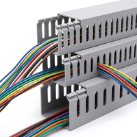 Canalización de PVC con Ranuras de Borde Liso 60x40mm para Separación de Cables en Gabinetes Eléctricos, Panel para Construcción, OEM, Marca Privada