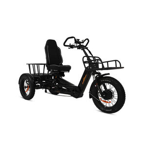 電動三輪車 長距離走行400KM 48V オープンボディ ファットタイヤ 130AH 2バッテリー 2000W リカンベント 大人用 EEC認証 トライク - Product Image 3