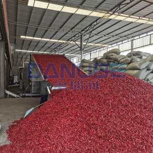 Secador de chiles con cinta transportadora de malla industrial, línea de producción de secado de chiles, máquina deshumidificadora de chiles - Product Image 5