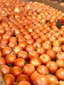 Yüksek kaliteli doğal organik kırmızı soğan, dubai'ye büyük boy taze kırmızı soğan tedarik eden çin soğan tedarikçilerinden geliyor - Product Image 4