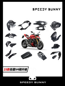 Piezas de Carenado de Fibra de Carbono para Ducati Streetfighter V4 2025 - Product Image 1