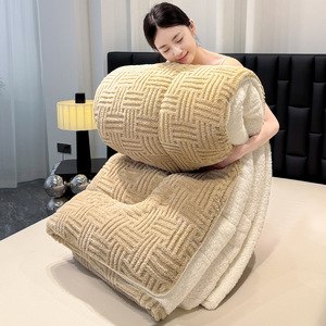 Couette d'hiver en velours jacquard transfrontalière ultra douce <span class=keywords><strong>et</strong></span> respectueuse de la peau, garnissage en fibres de soja, pour lit simple ou double - Product Image 2